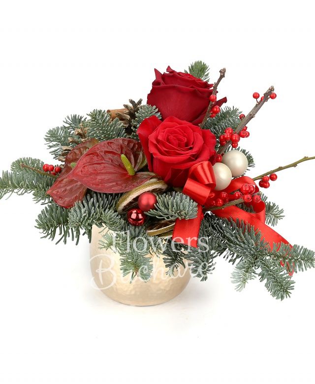 2 trandafiri rosii, ilex, anthurium, brad, decorațiuni crăciun, vas ceramic