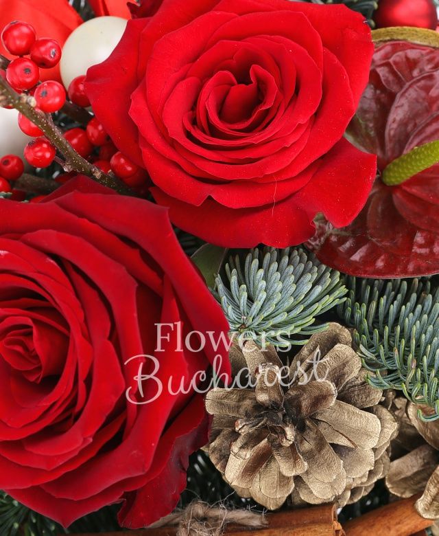 2 trandafiri rosii, ilex, anthurium, brad, decorațiuni crăciun, vas ceramic