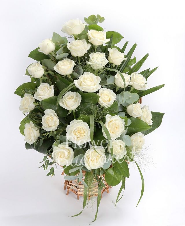 25 trandafiri albi, eucalipt, verdeață