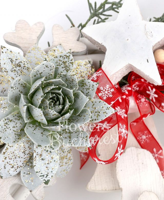 suculentă, coronița lemn, brad, decorațiuni crăciun