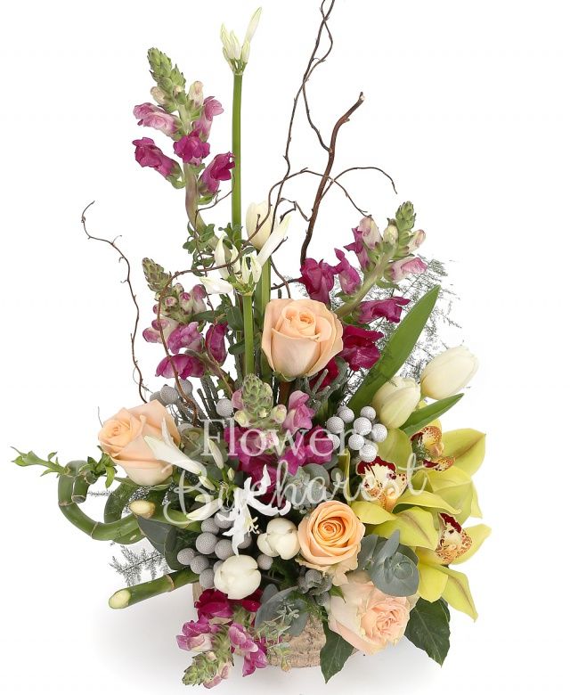 4 antirrhinum, 2 nerine albe, 4 trandafiri crem, 7 lalele albe, cymbidium verde, brunia, bambus, corylus, eucalypt, vas ceramic