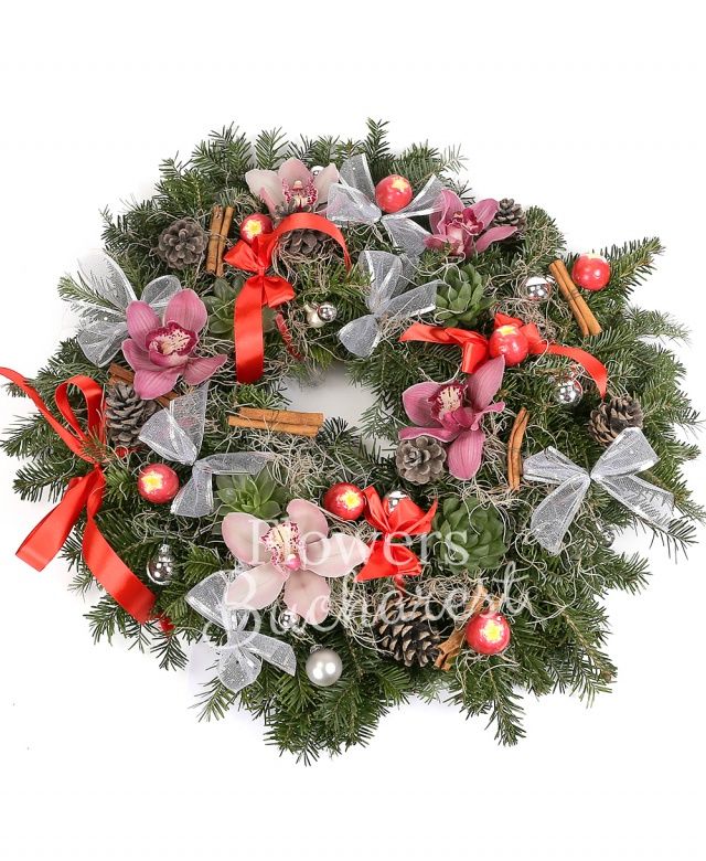3 suculente, cymbidium roz, coronița brad, tillandsia, decorațiuni crăciun
