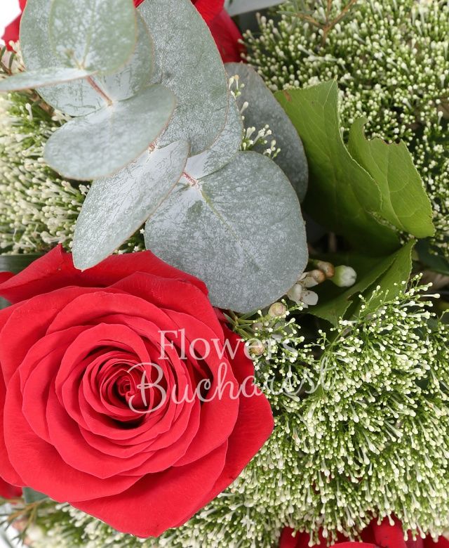 4 trandafiri albi, 4 trachelium alb, waxflower, beargrass, eucalypt, blacktide, cuib