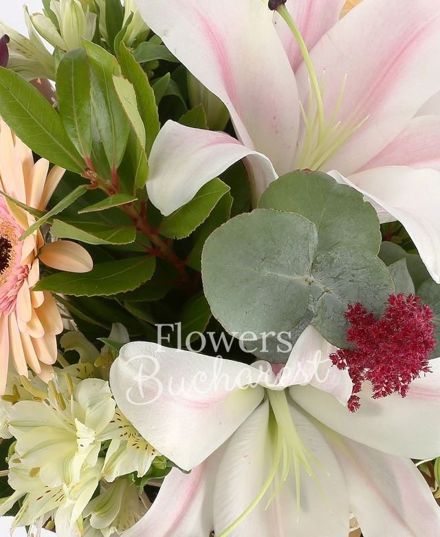 1 crin roz, 2 trandafiri banan, 2 gerbera crem, 2 alstroemeria alba, 2 cale mov, 2 astilbe grena, eucalypt, salal, cuib