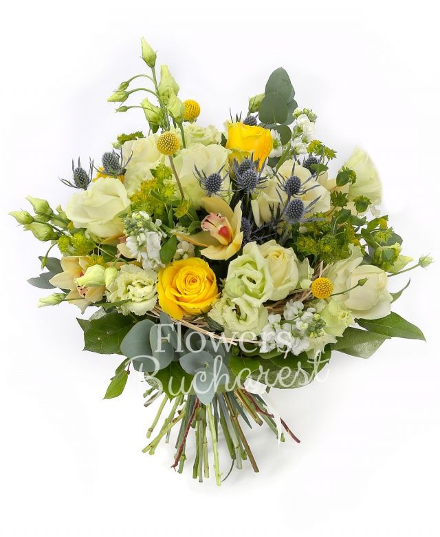 5 trandafiri albi, 2 trandafiri galbeni, 2 eryngium, 3 lisianthus alb, 4 matthiola alba,2 craspedia, bupleurum, cymbidium galben, eucalypt, salal, cuib