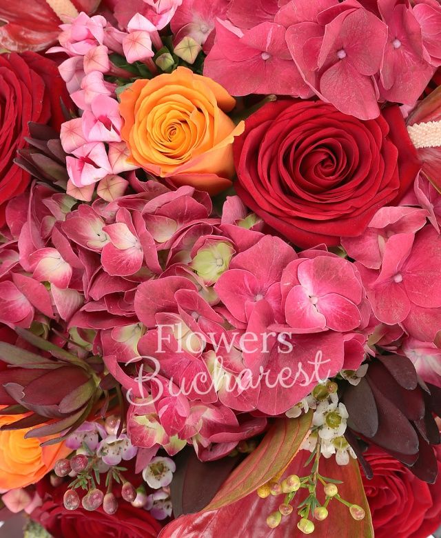 5 trandafiri rosii, 4 trandafiri portocalii, 2 anthurium roșu, 2 hortensia roșie, 2 bouvardia roz, 5 leucadendron, waxflower alb, blacktie