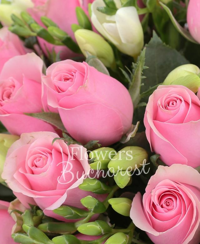 25 trandafiri roz, 30 frezii albe